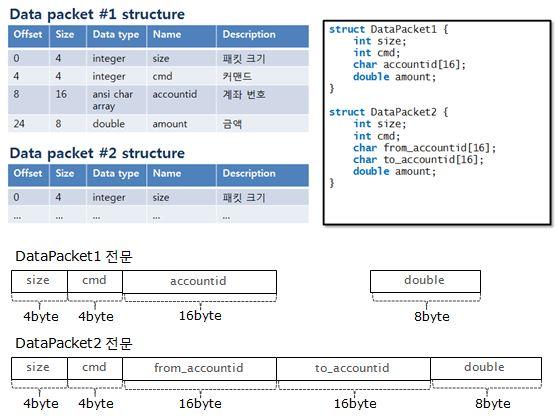 데이터패킷 예